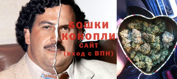 spice Пестово