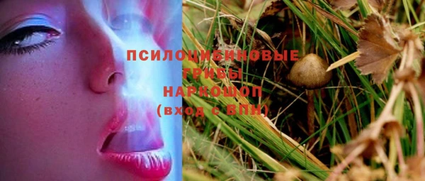 молекула духа Остров